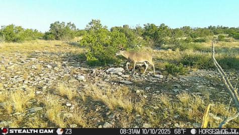 0 W Cooper Road Comstock TX 78837