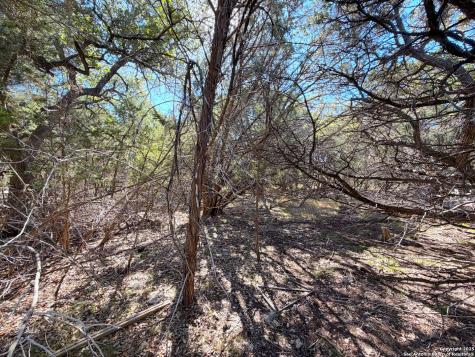 426 Clay Ridge Canyon Lake TX 78133