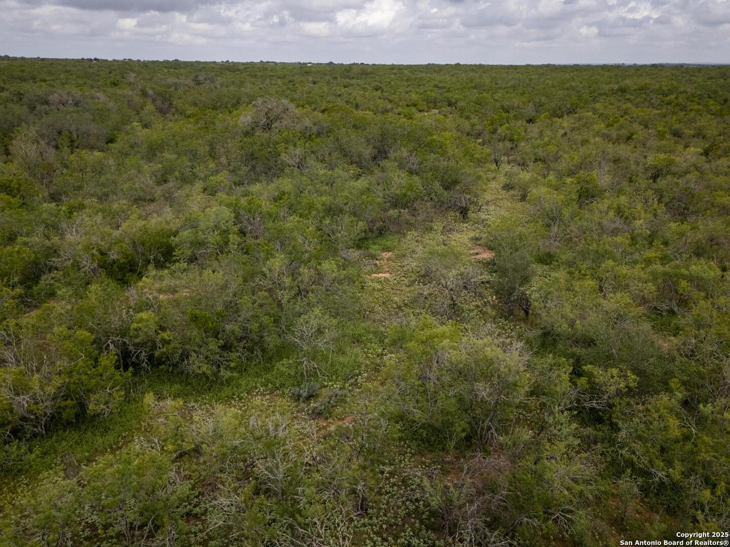 558 Ramos Lane Floresville TX 78114