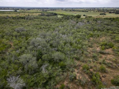 558 Ramos Lane Floresville TX 78114