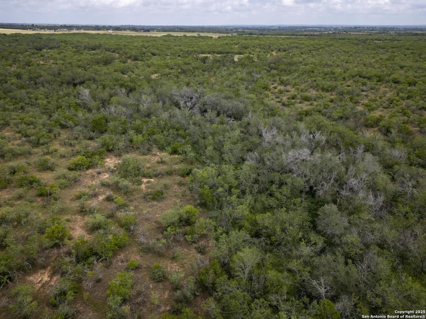 558 Ramos Lane Floresville TX 78114