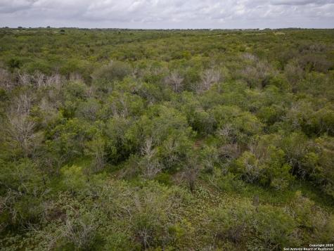 558 Ramos Lane Floresville TX 78114