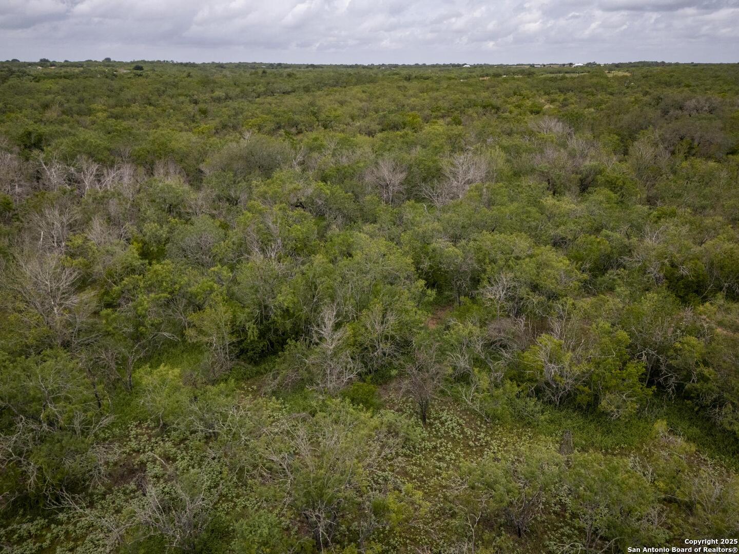 558 Ramos Lane Floresville TX 78114