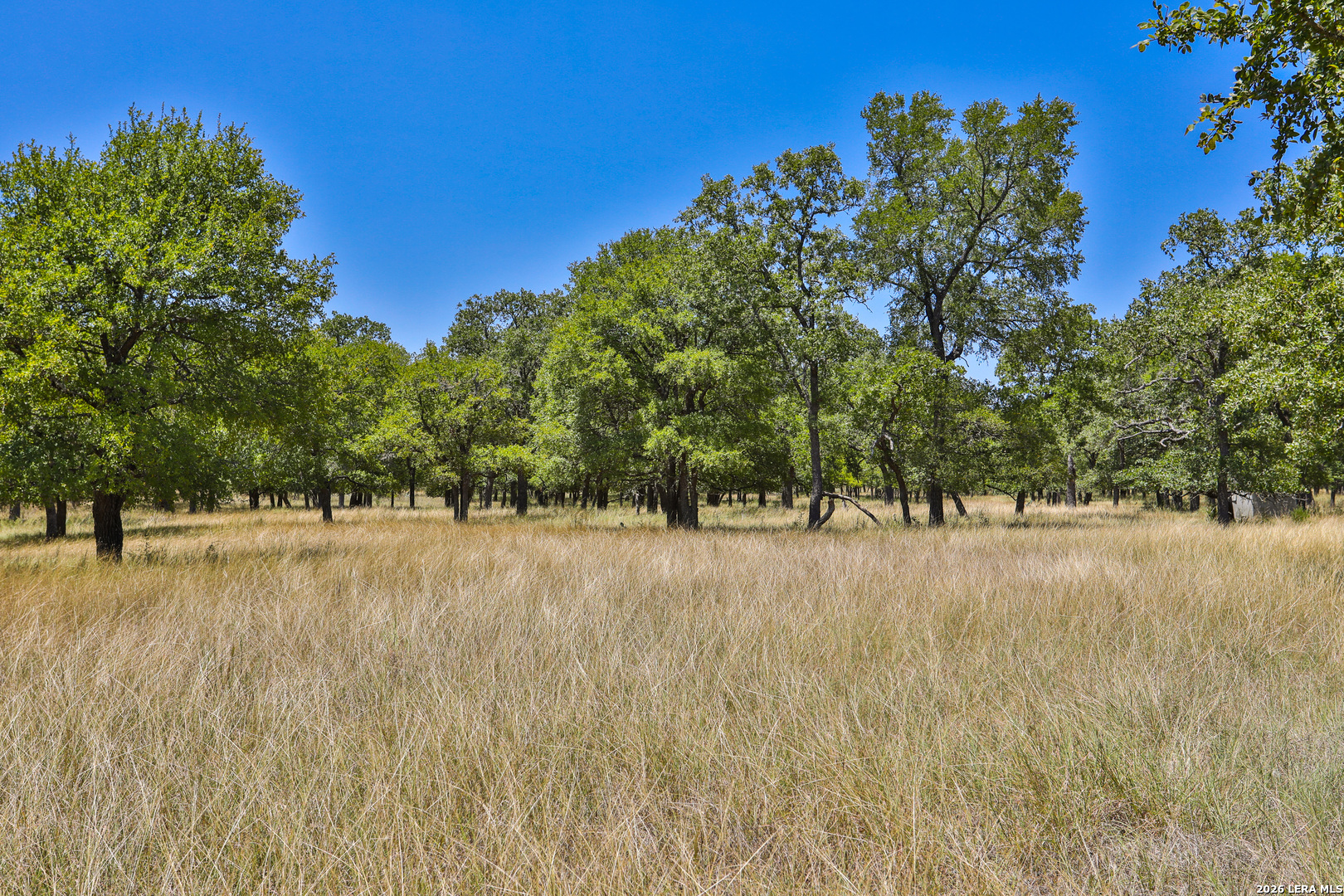 32539 Tierra Robles Bulverde TX 78163
