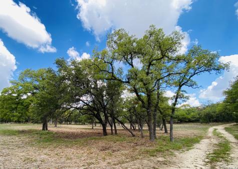 32539 Tierra Robles Bulverde TX 78163
