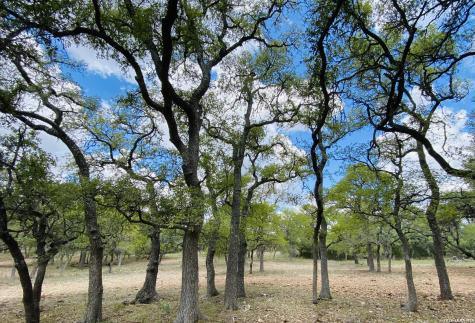 32539 Tierra Robles Bulverde TX 78163
