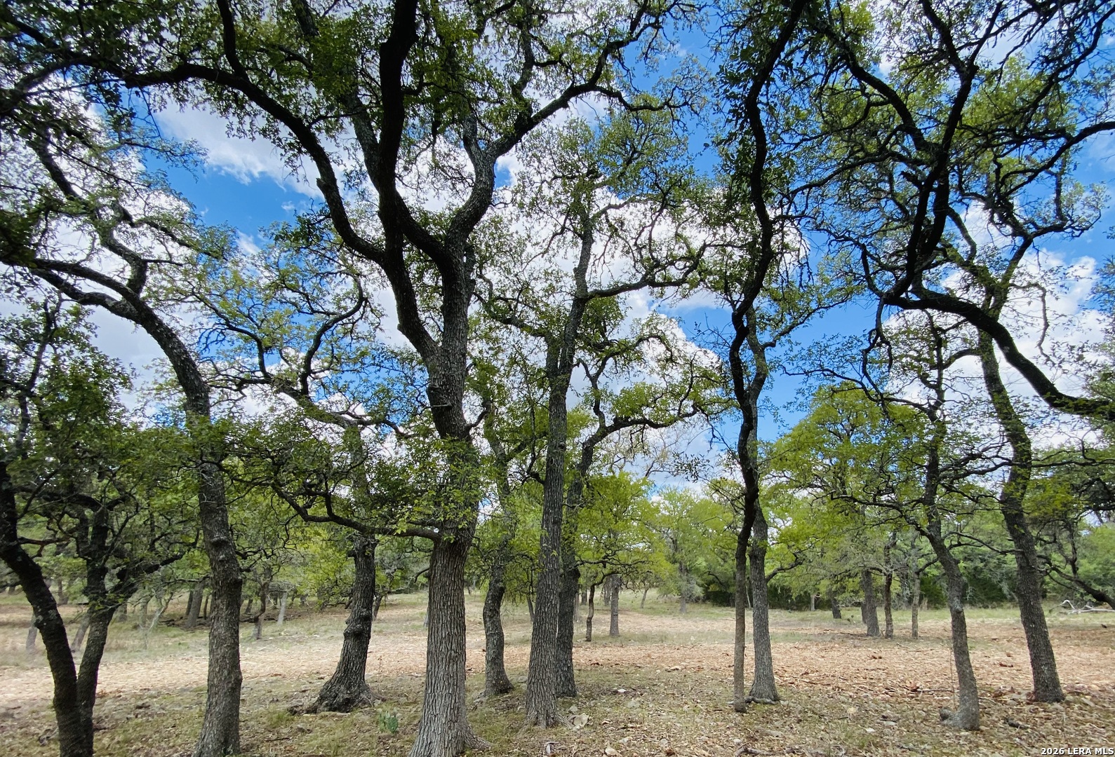 32539 Tierra Robles Bulverde TX 78163