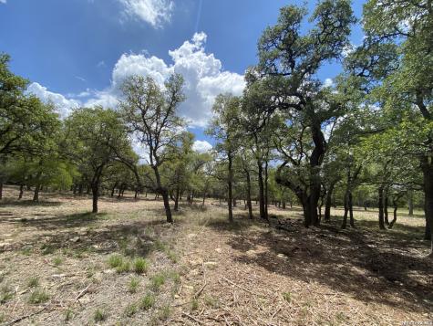 32539 Tierra Robles Bulverde TX 78163