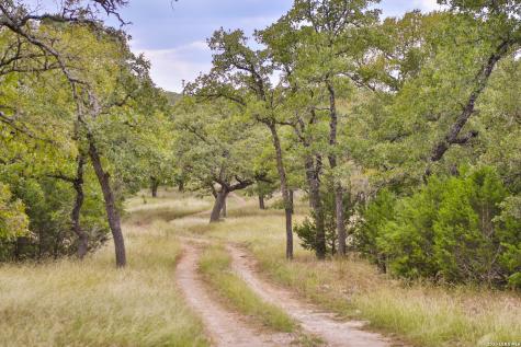 32539 Tierra Robles Bulverde TX 78163