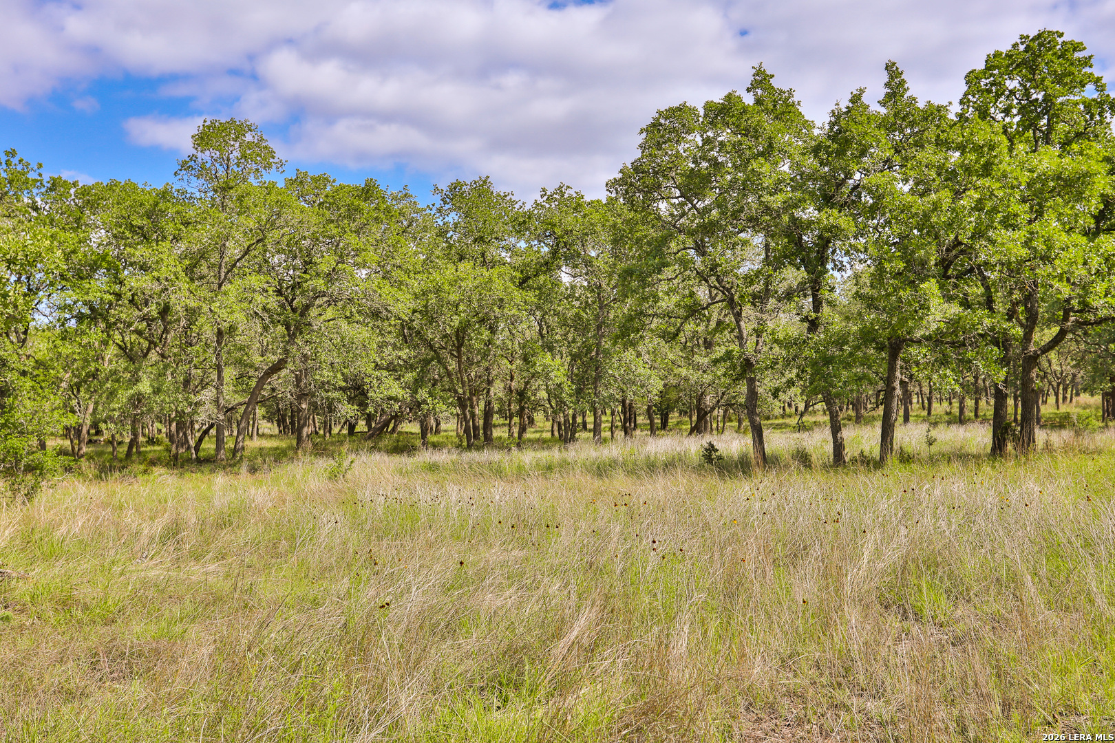 32539 Tierra Robles Bulverde TX 78163
