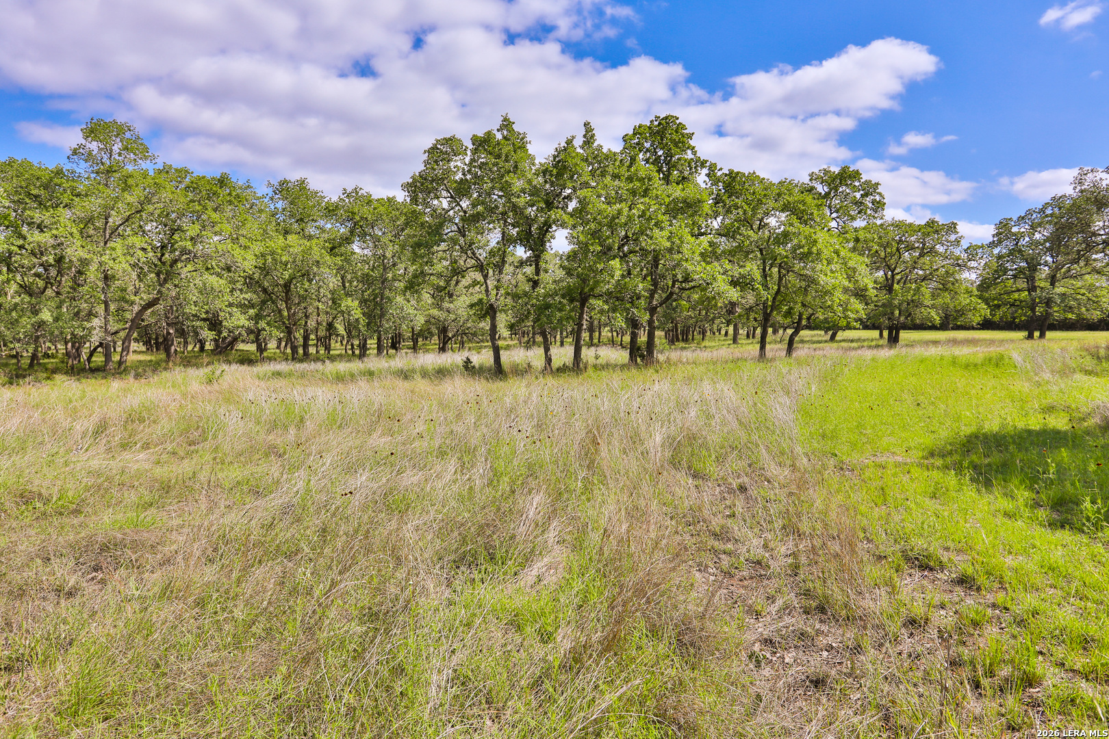 32539 Tierra Robles Bulverde TX 78163