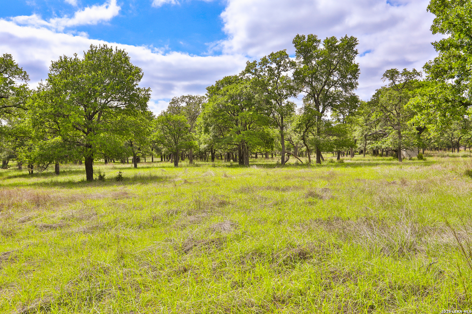 32539 Tierra Robles Bulverde TX 78163