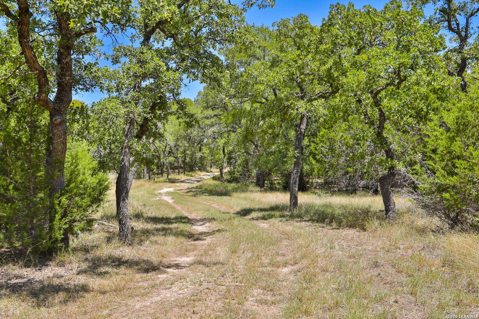 32539 Tierra Robles Bulverde TX 78163