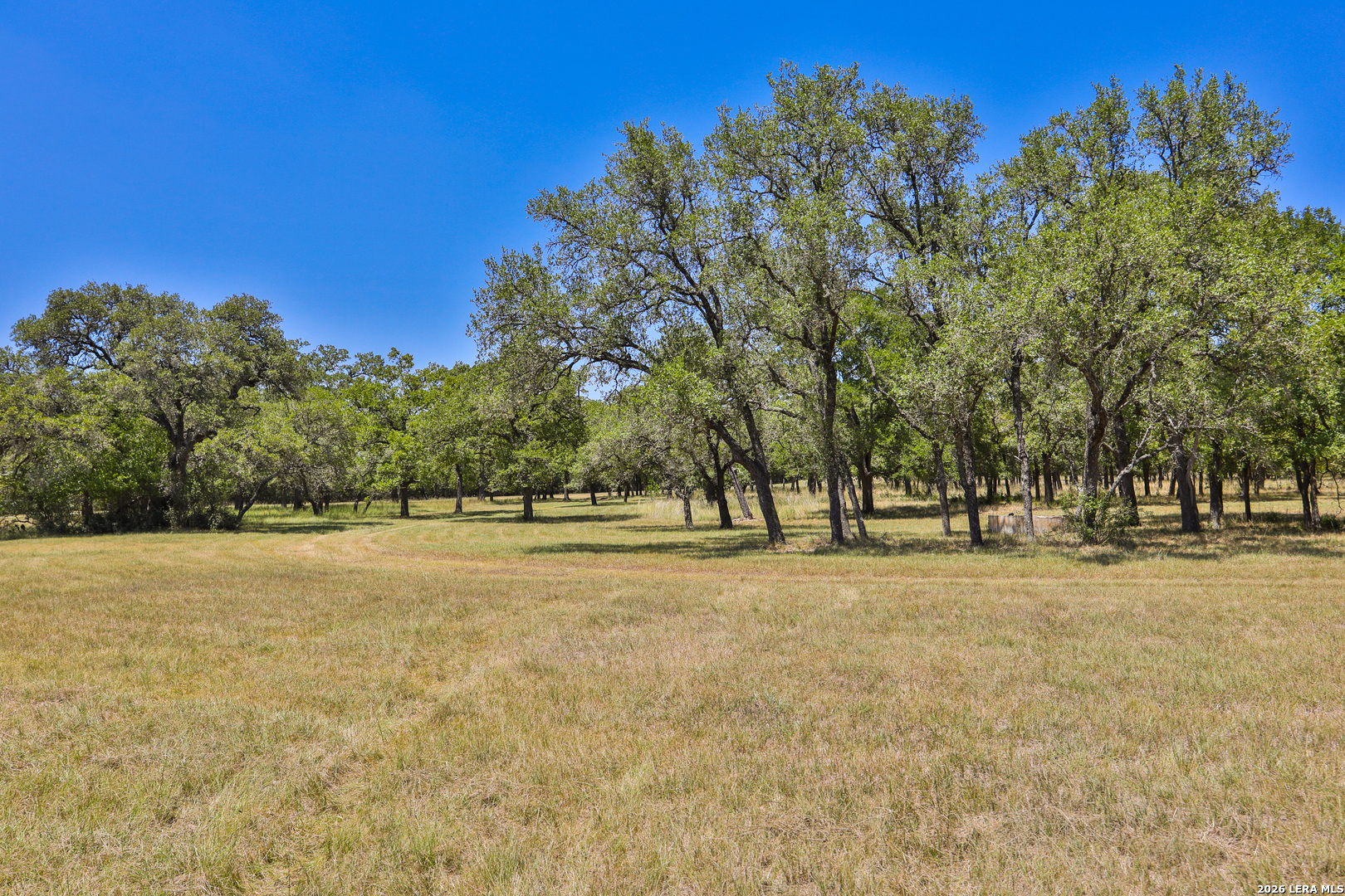 32539 Tierra Robles Bulverde TX 78163