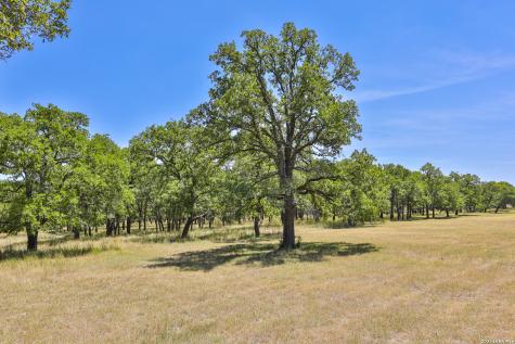 32539 Tierra Robles Bulverde TX 78163