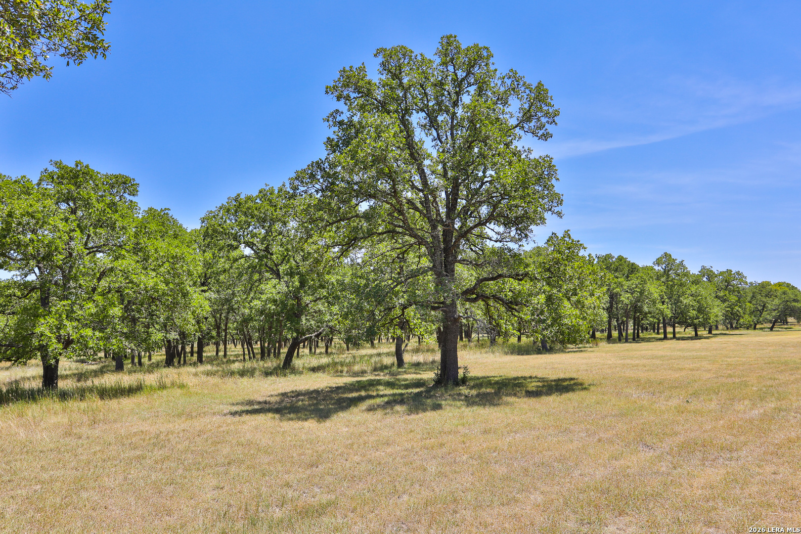 32539 Tierra Robles Bulverde TX 78163