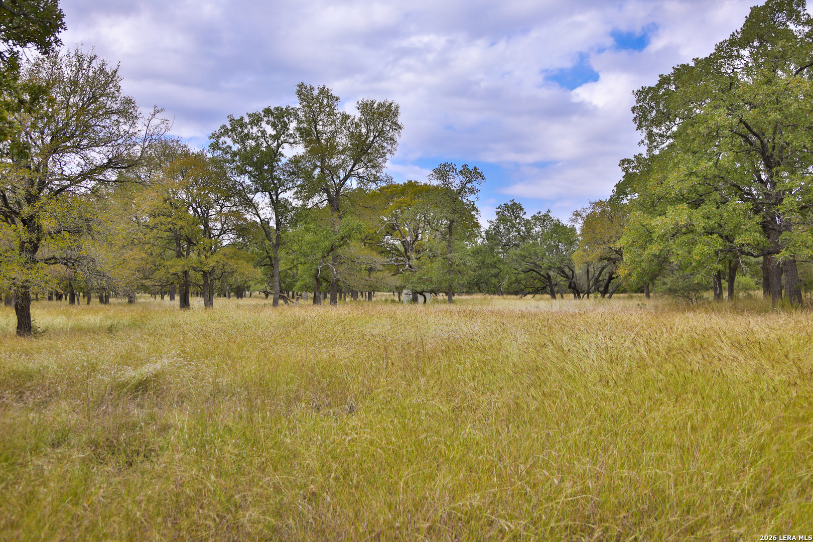 32539 Tierra Robles Bulverde TX 78163