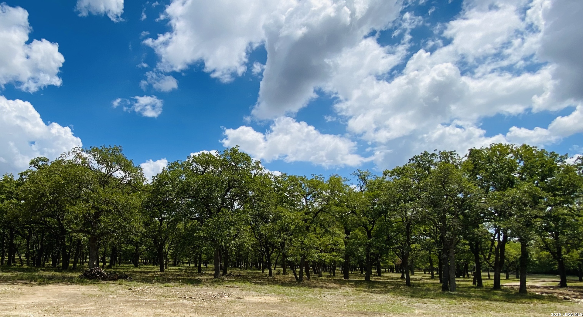 32539 Tierra Robles Bulverde TX 78163