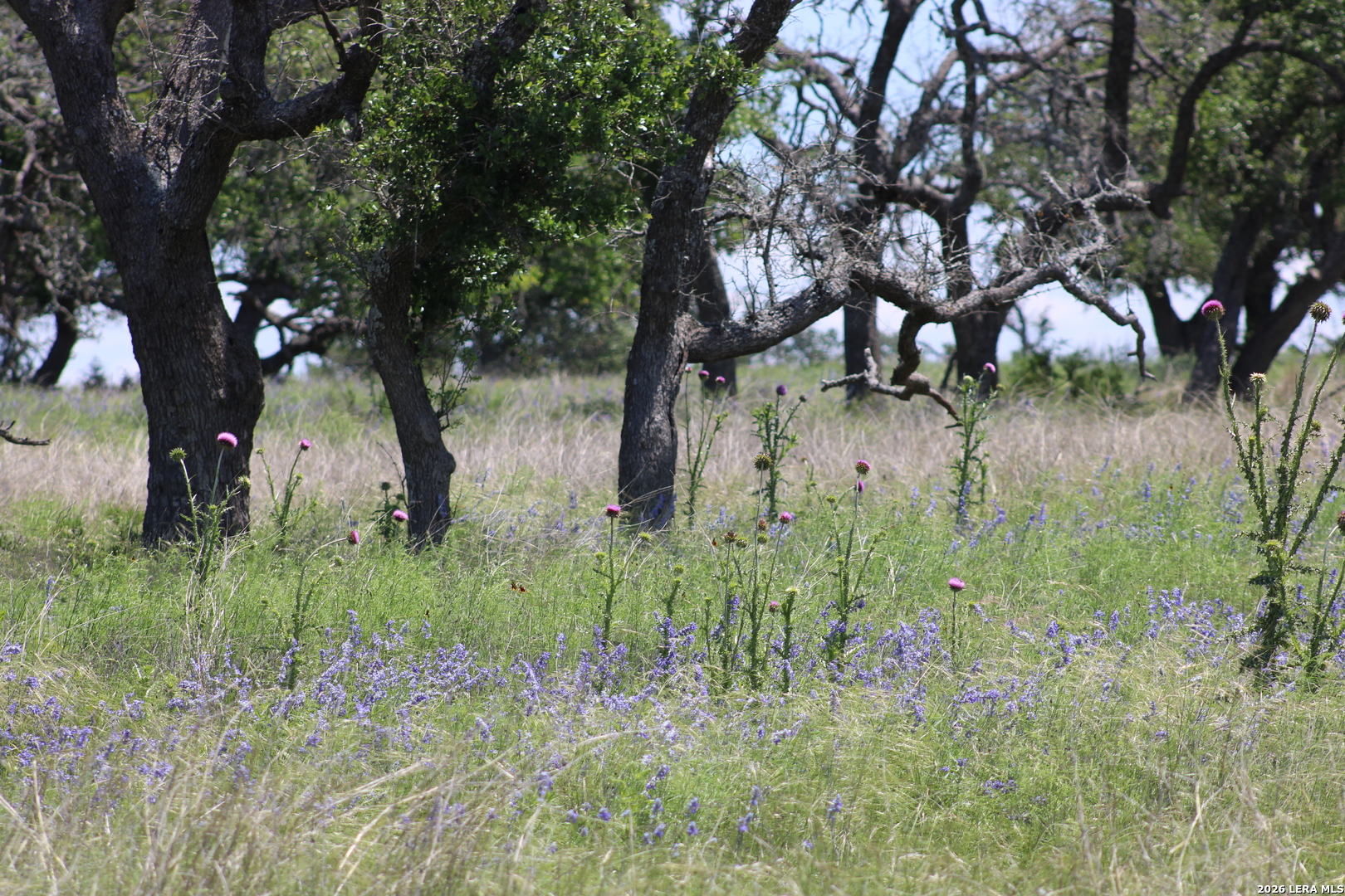 132 Pack Saddle Lane Fredericksburg TX 78624
