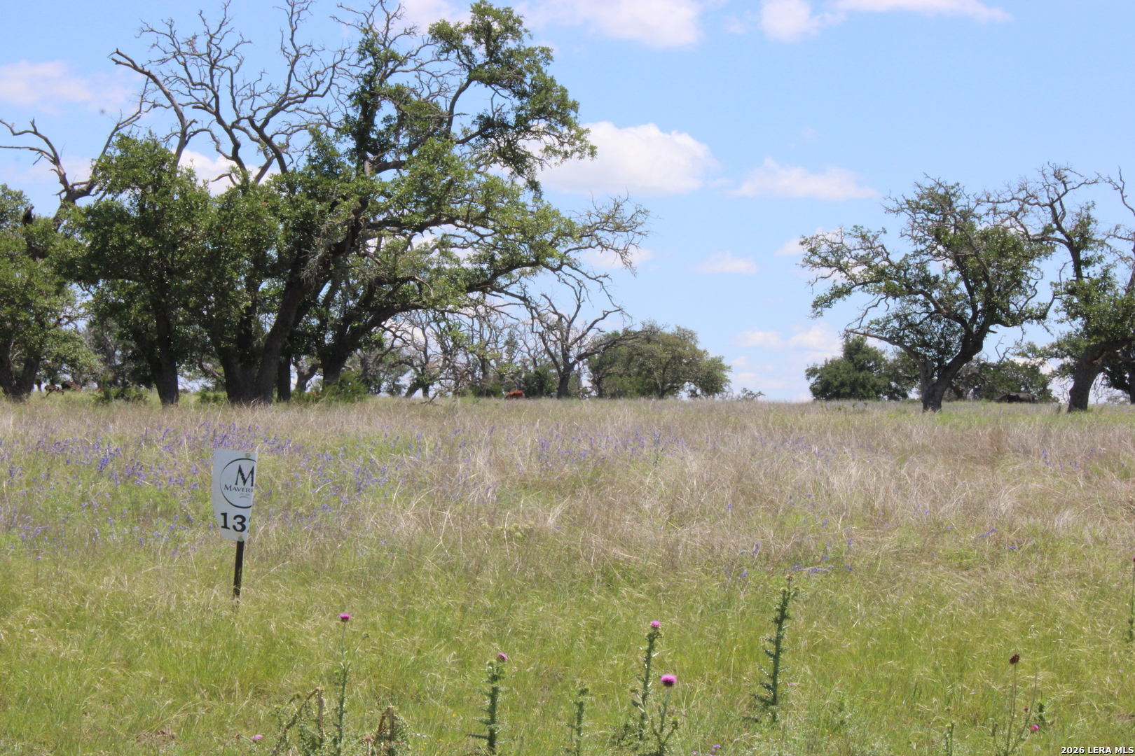 132 Pack Saddle Lane Fredericksburg TX 78624
