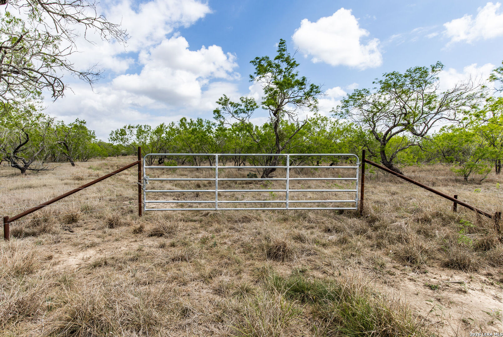 247 Western Lane Leesville TX 78122