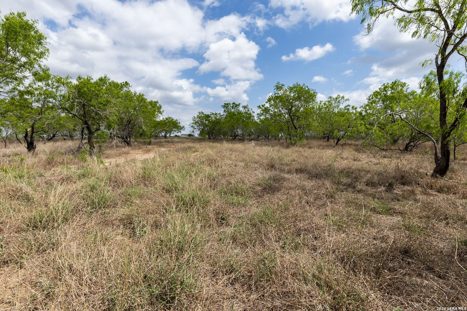 247 Western Lane Leesville TX 78122