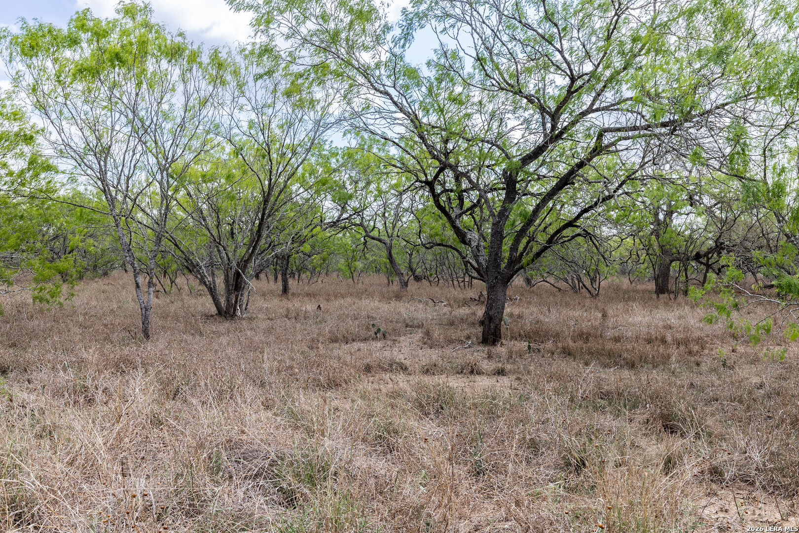 247 Western Lane Leesville TX 78122