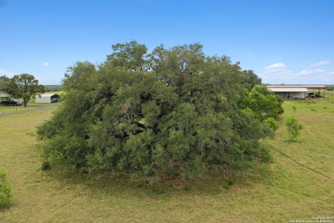 13857 Us Highway 87 S Adkins TX 78101