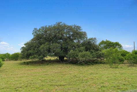 13857 Us Highway 87 S Adkins TX 78101