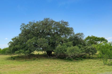 13857 Us Highway 87 S Adkins TX 78101