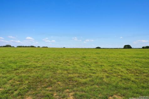 13857 Us Highway 87 S Adkins TX 78101