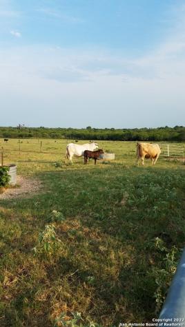 13857 Us Highway 87 S Adkins TX 78101