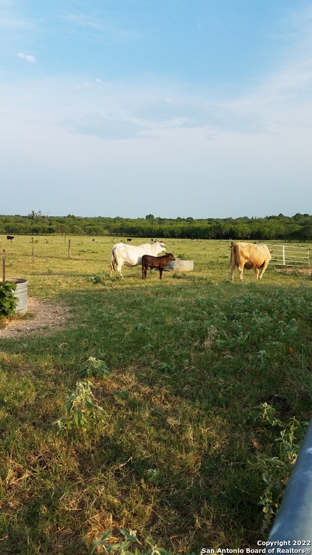 13857 Us Highway 87 S Adkins TX 78101