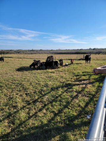 13857 Us Highway 87 S Adkins TX 78101
