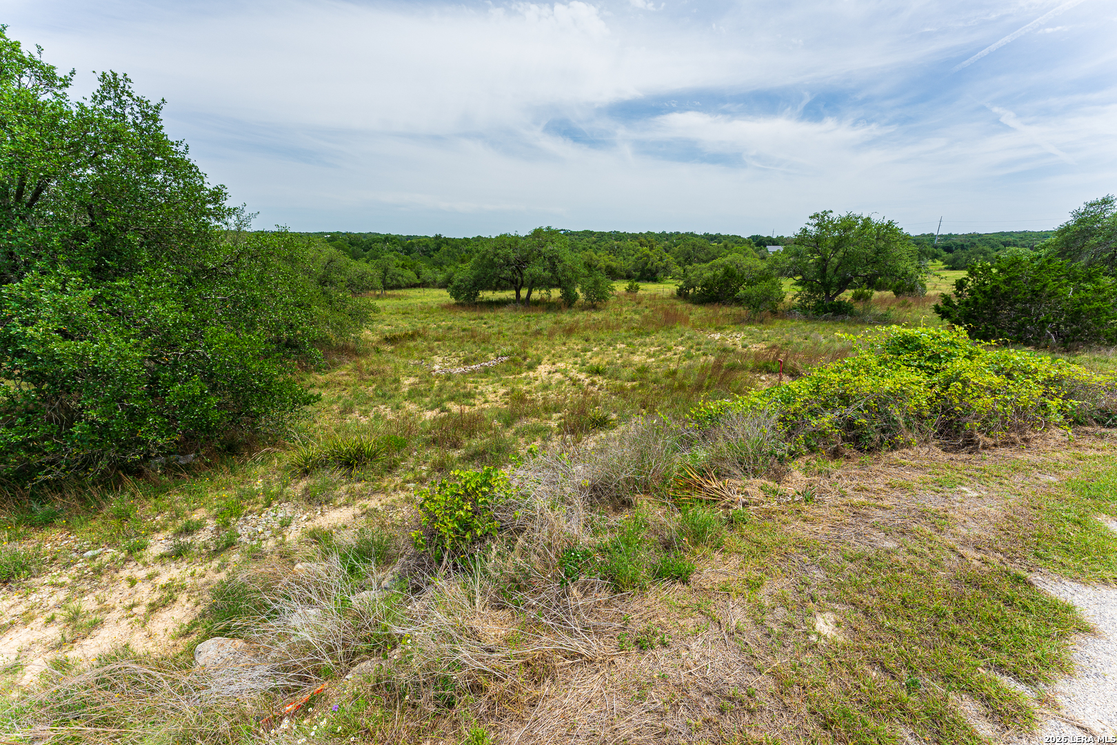107 Thomas Frost Blanco TX 78606