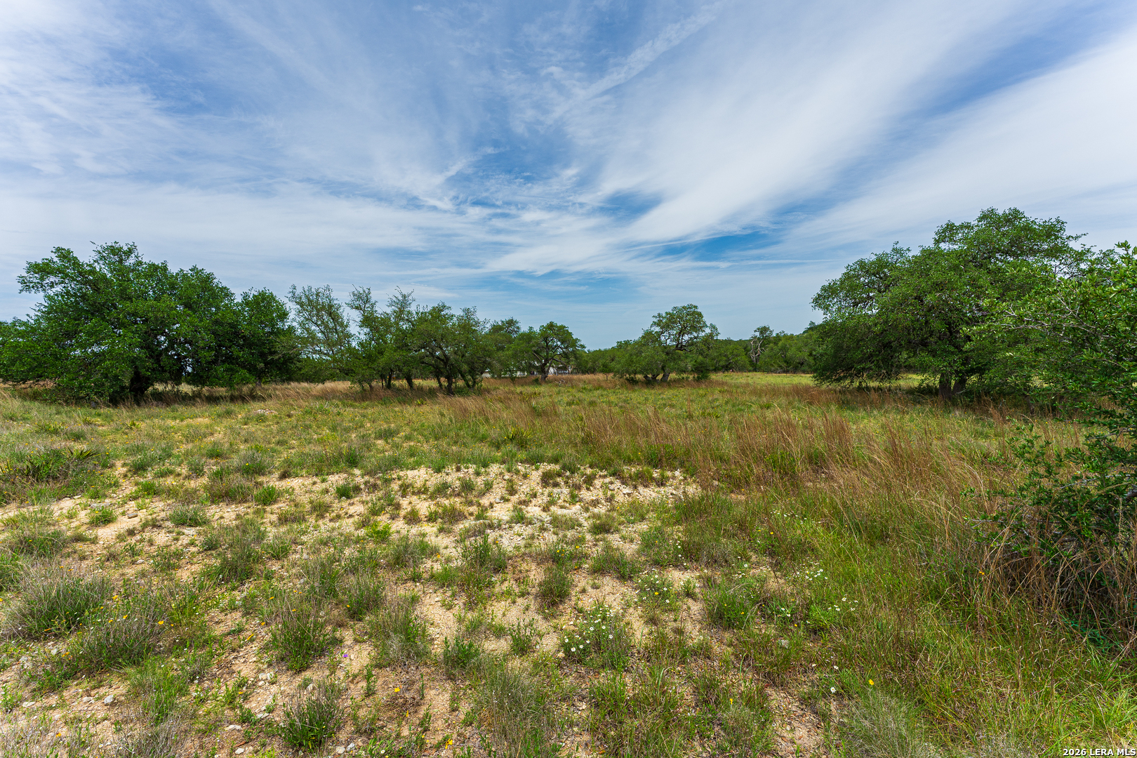 107 Thomas Frost Blanco TX 78606