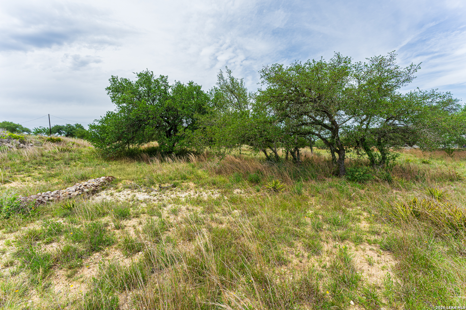 107 Thomas Frost Blanco TX 78606