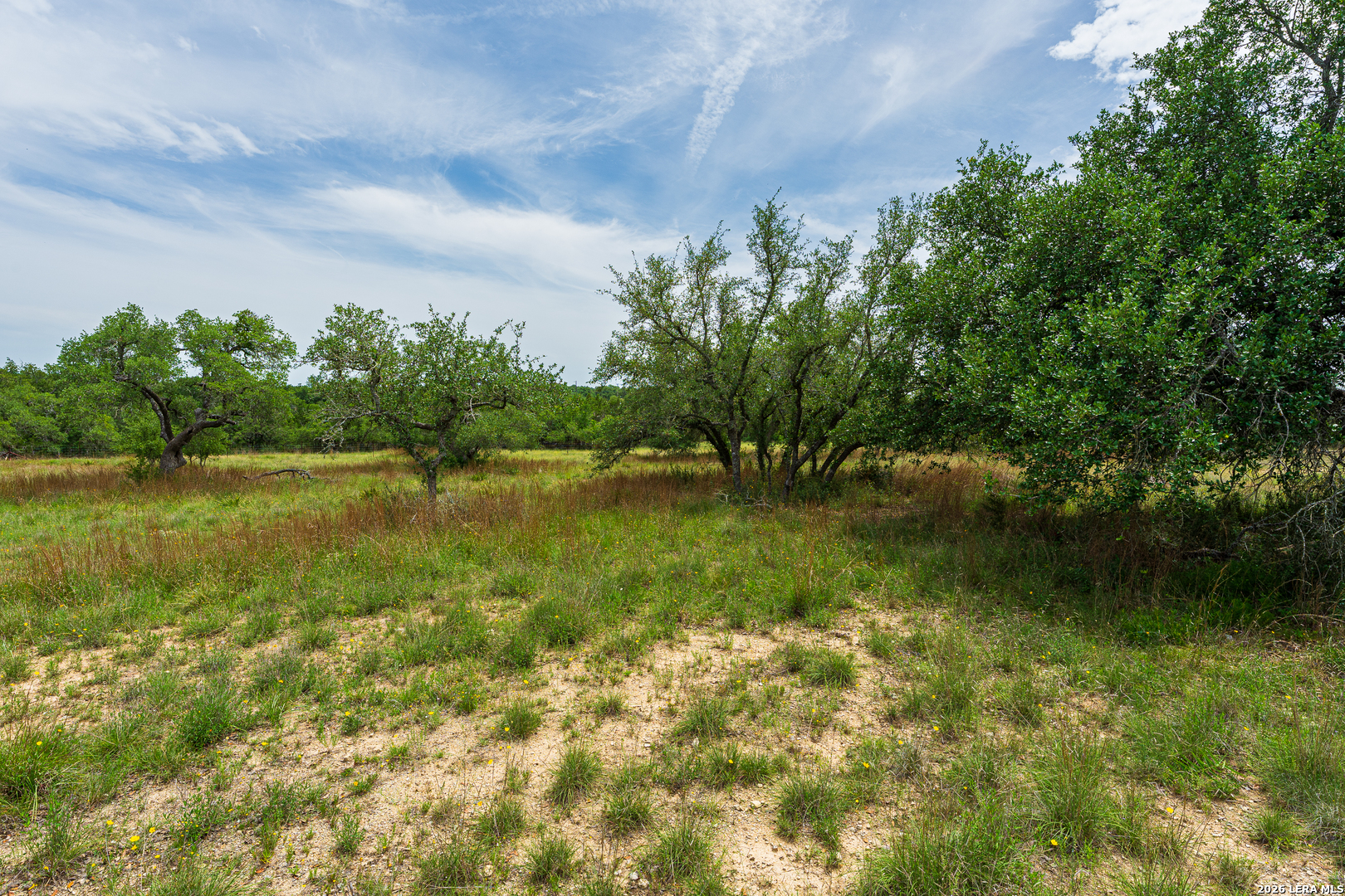 107 Thomas Frost Blanco TX 78606