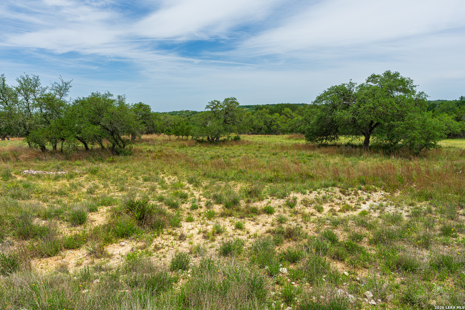 107 Thomas Frost Blanco TX 78606
