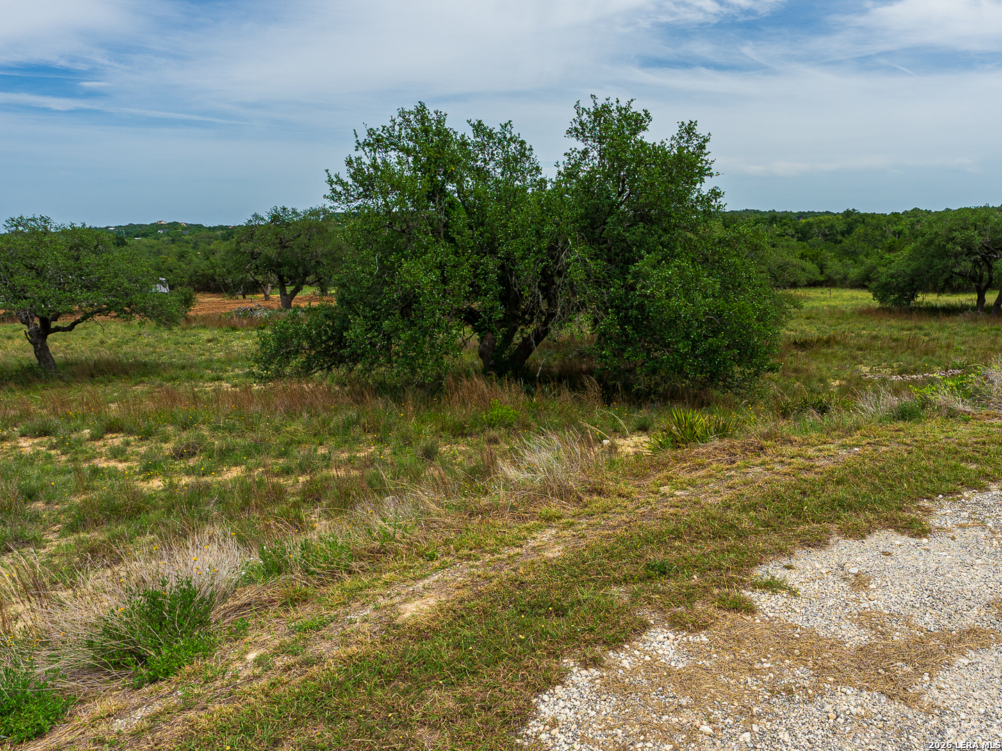 107 Thomas Frost Blanco TX 78606