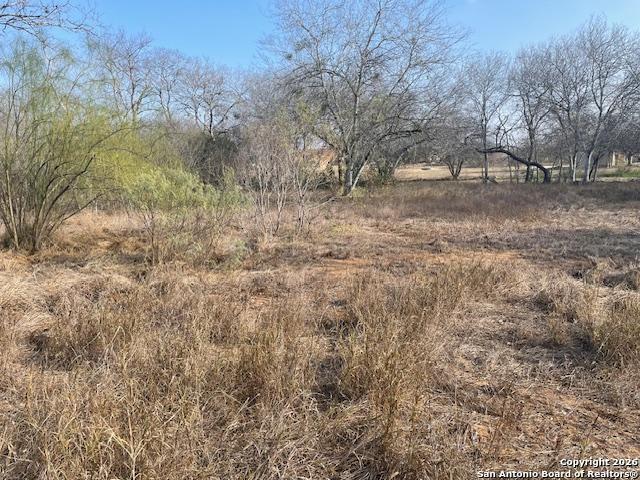 610 Cedar Street Jourdanton TX 78026