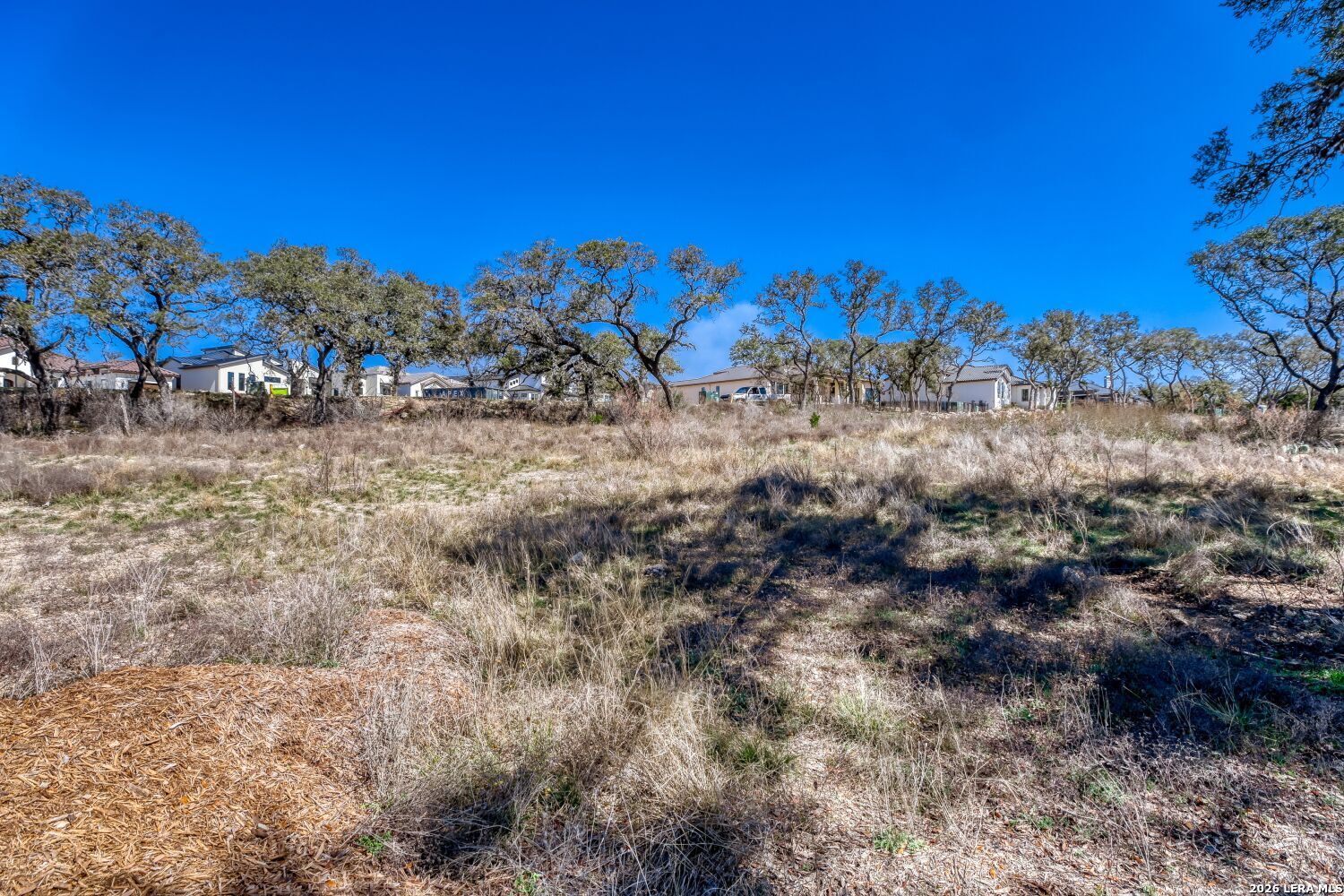 6922 Bluff Run San Antonio TX 78257