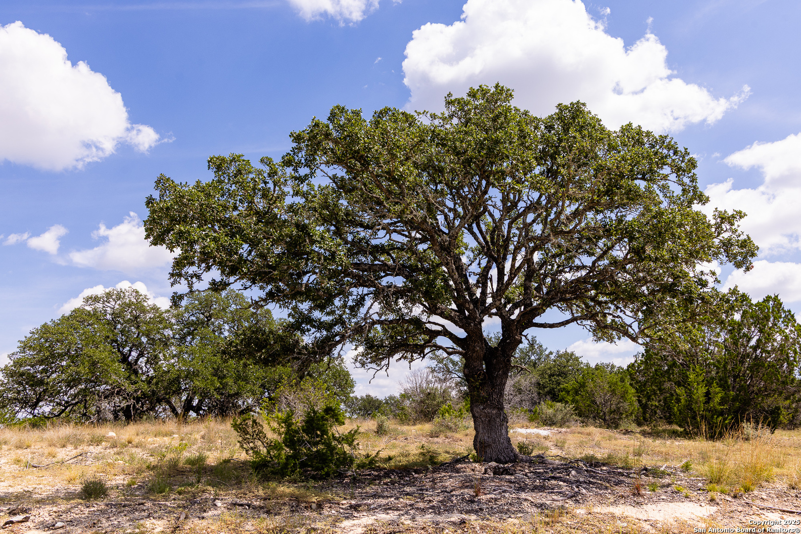 352 Dark Sky Path Kerrville TX 78028