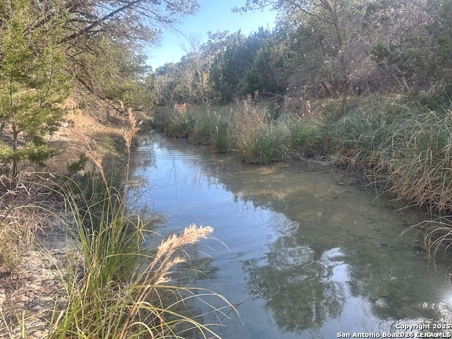 000 E Bear Springs Pipe Creek TX 78063