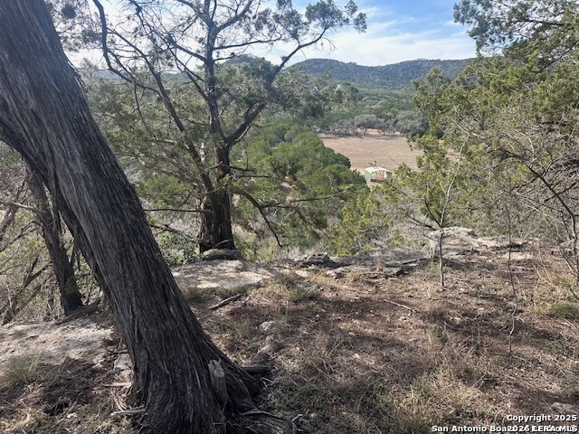 000 E Bear Springs Pipe Creek TX 78063