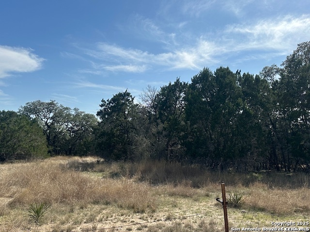000 E Bear Springs Pipe Creek TX 78063