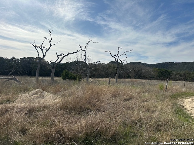000 E Bear Springs Pipe Creek TX 78063