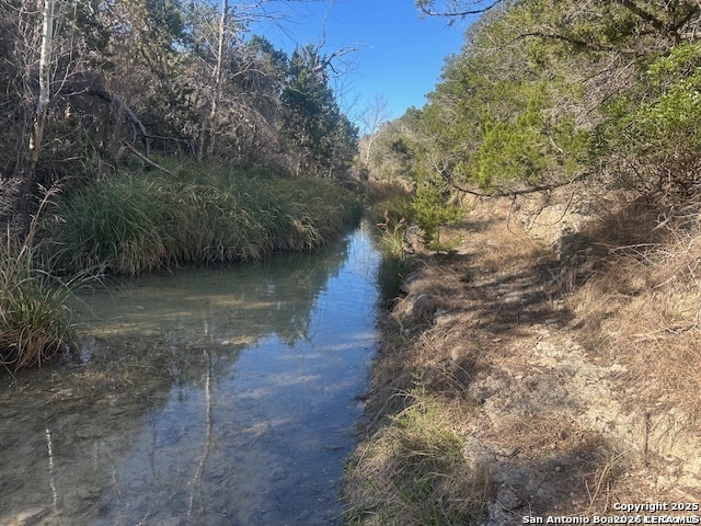 000 E Bear Springs Pipe Creek TX 78063