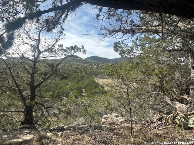 000 E Bear Springs Pipe Creek TX 78063