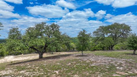 12033 Summer Meadows Spring Branch TX 78070